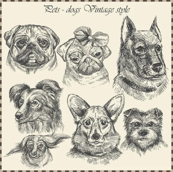 Set Dog in vintage style. Hand drawn vector — Stock Vector