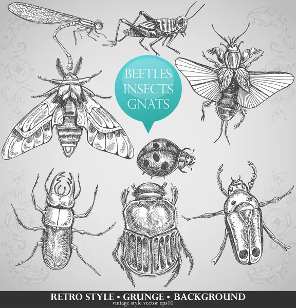 Vector set insects in vintage style — Stock Vector