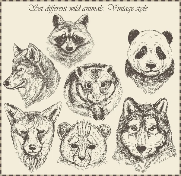 Vektor-Set: verschiedene Wildtiere - verschiedene Vintage-Stile. — Stockvektor