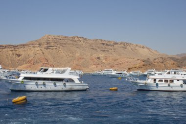 gemiler, liman, red sea, Mısır