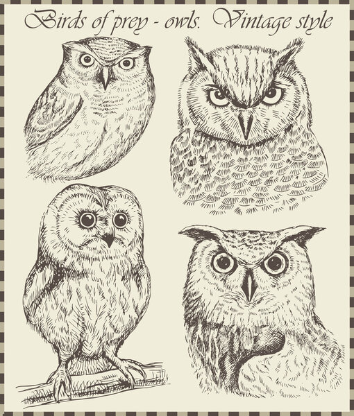 Variety of vintage bird illustrations