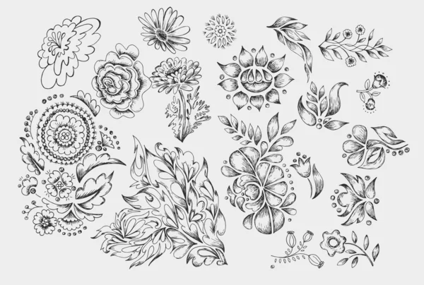 Set flores mano dibujado vector — Vector de stock