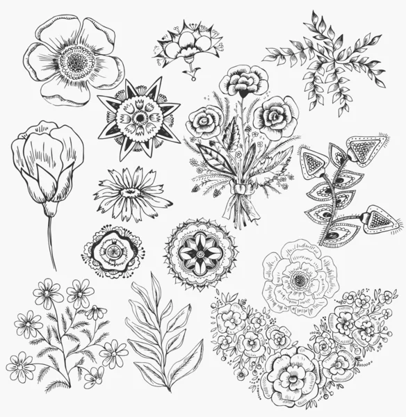 Set bloemen hand getrokken — Stockvector