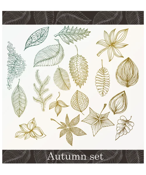 Set foglie d'autunno — Vettoriale Stock