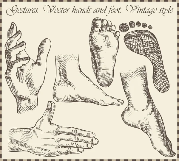 Mão & pés em estilo retro —  Vetores de Stock