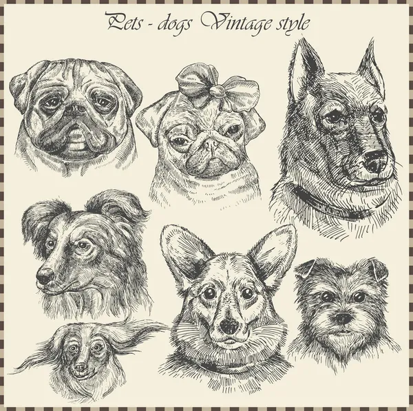 Set Perro en estilo vintage . — Archivo Imágenes Vectoriales
