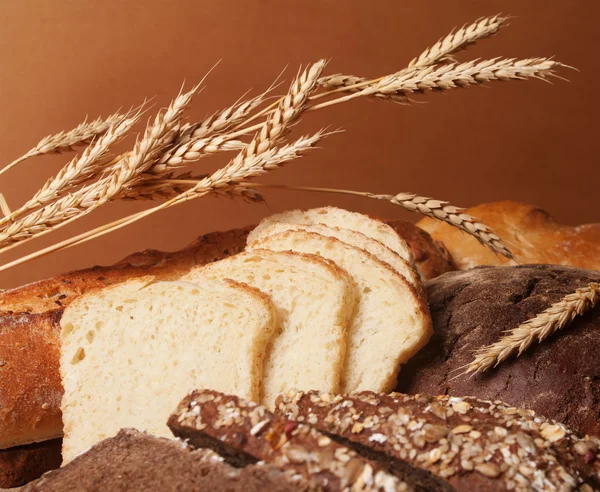 Verschillende soorten brood — Stockfoto