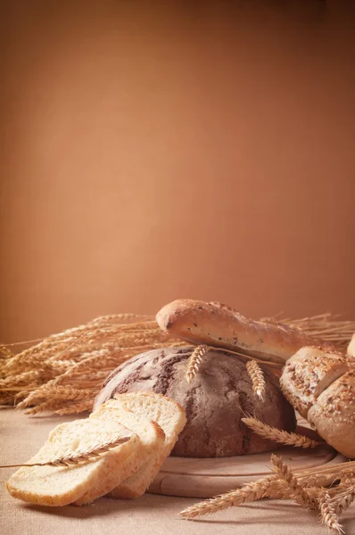 Different types of bread — Stock Photo, Image