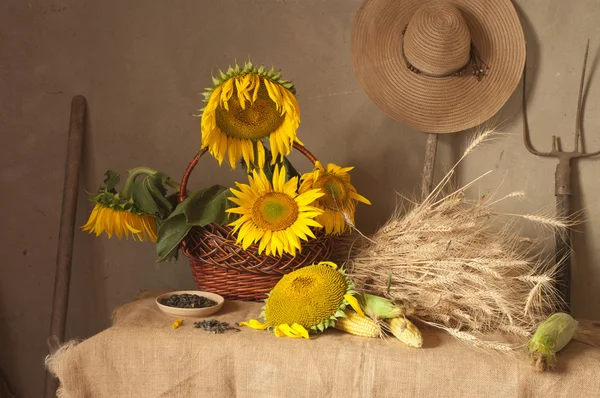 Naturaleza muerta — Foto de Stock