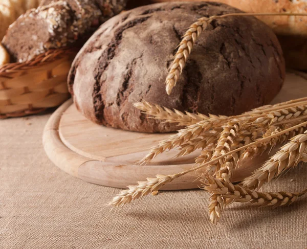 Búza és kenyér — Stock Fotó