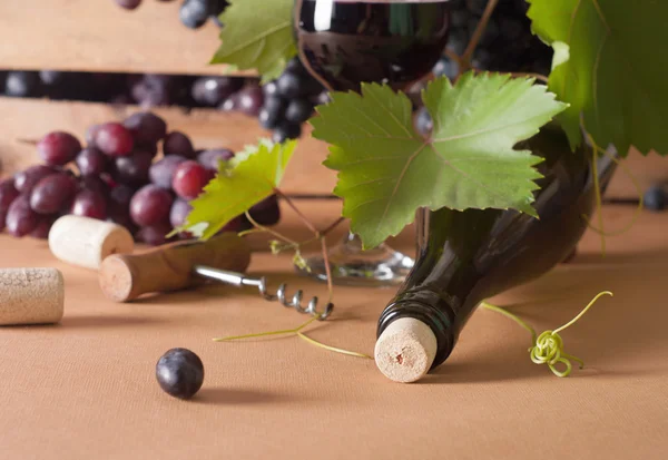 Wine — Stock Photo, Image