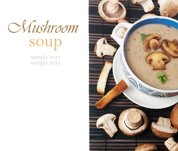 Soup of mushrooms — Stock Photo, Image