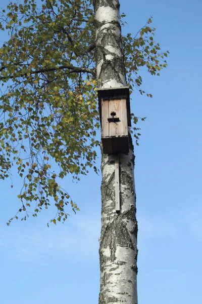 Fågelholk — Stockfoto