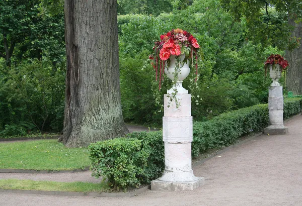 Weg in het park — Stockfoto