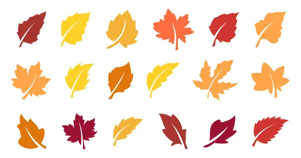 Autumn leaves set — Stock Vector