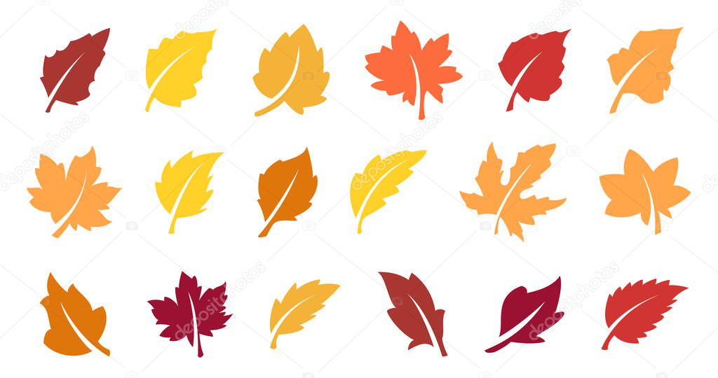 Set of yellow leaves. Autumn design element. Vector illustration