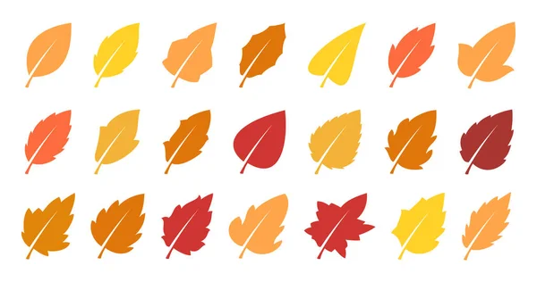 Conjunto de folhas de outono — Vetor de Stock