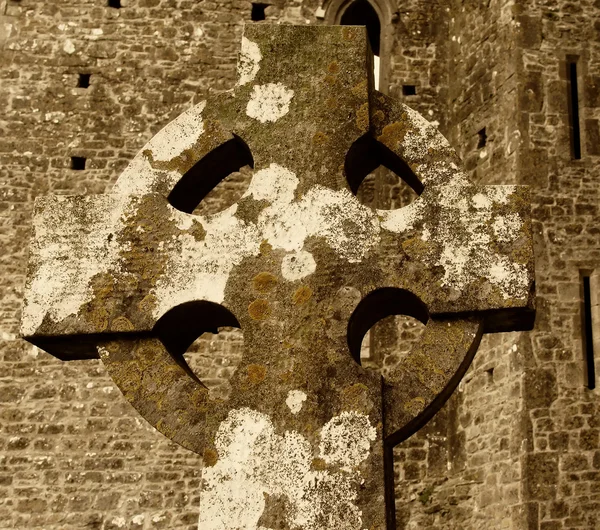 Cashel Cross — Stock Photo, Image