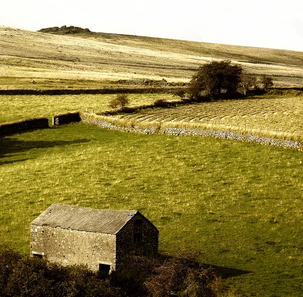 Dartmoor — Foto Stock