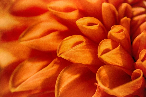 Oranžové záře — Stock fotografie