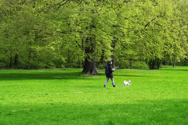 Woman walking her dog — Stock Photo, Image