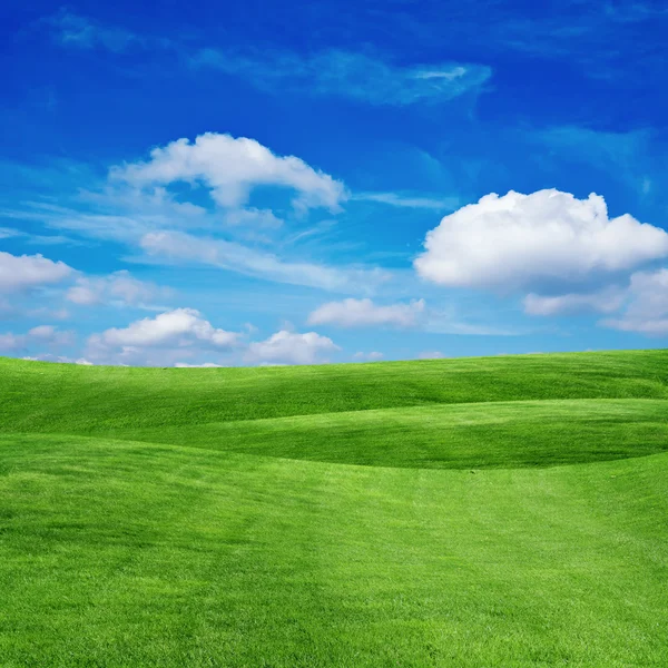 Grasveld met bewolkte hemel — Stockfoto