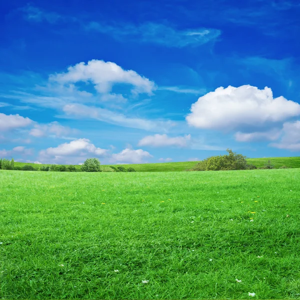 Травяное поле с облачным небом — стоковое фото