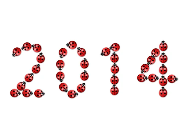 2014 yılı renkli ladybugs kurdu — Stok fotoğraf