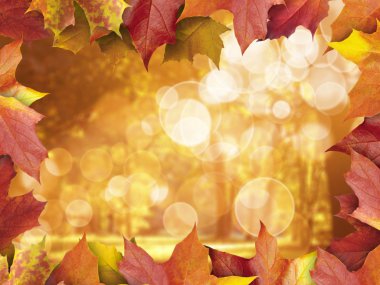 Sonbahar Yaprakları