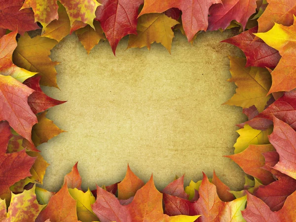 Autumn background — Stock Photo, Image