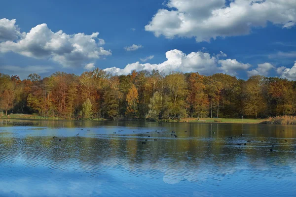 Autumn trees reflecting in lake — Stock Photo, Image