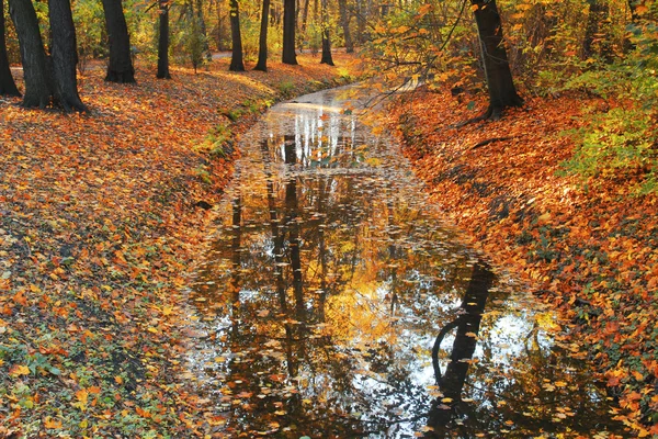 Árboles de otoño reflejándose en el río — Foto de Stock