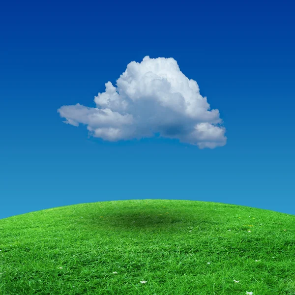 Grasveld met bewolkte hemel — Stockfoto