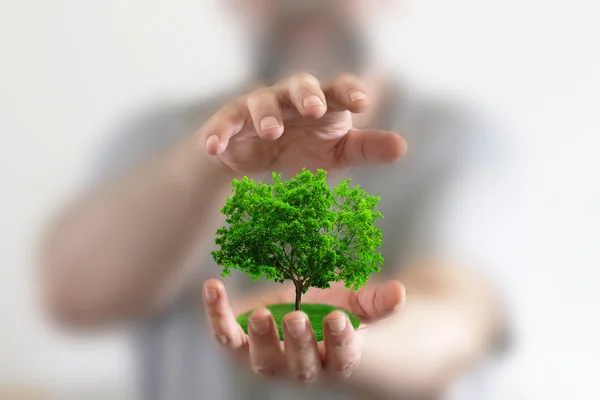 Manos sosteniendo un pequeño árbol — Foto de Stock