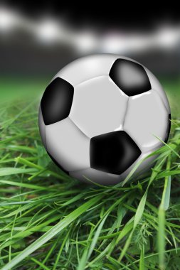 futbol topu çimlerin üzerinde