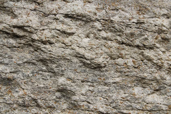Detailní Záběr Textury Šedého Kamene — Stock fotografie