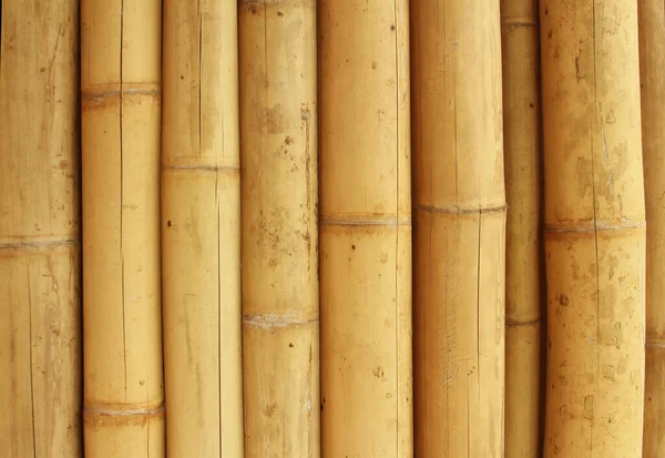 Bamboo Texture Wall Background — Stock Photo, Image