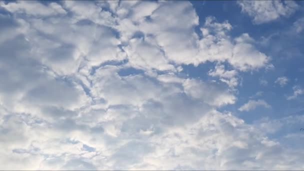 Wolken Blauwe Zonnige Lucht Stockvideo