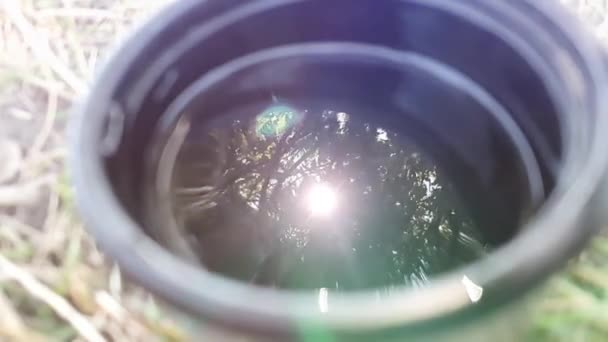 Tükröződik Nap Fák Egy Kávéscsészében Videóklipek