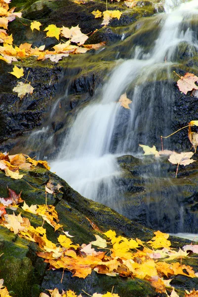 Fall Waterfall — Stock Photo, Image