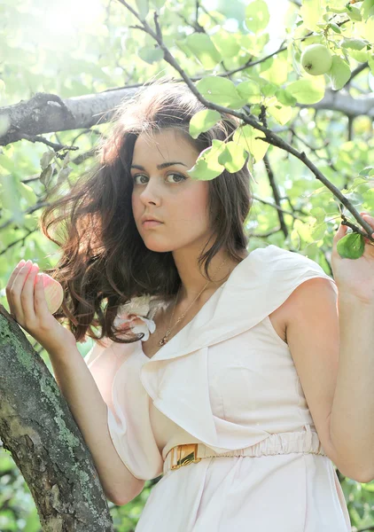 Pureza matinal de mulher linda sobre árvore de maçã com fruta no pomar outonal — Fotografia de Stock