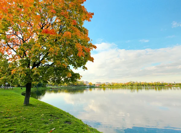 Färgglada träd nära floden — Stockfoto