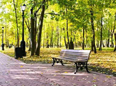 Parque Otoño colorido hermoso día soleado