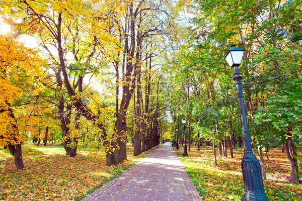 Hermoso parque de otoño colorido en día soleado —  Fotos de Stock