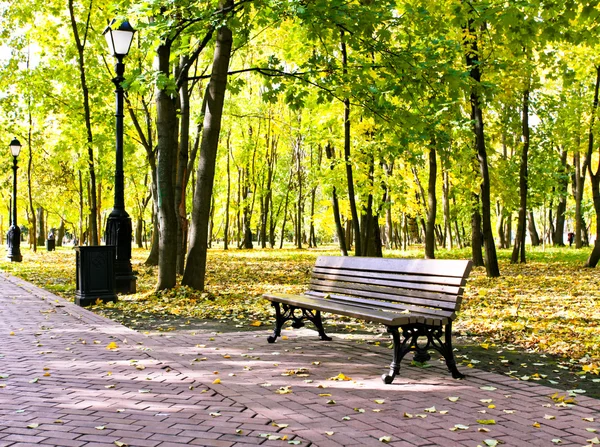 Beau parc d'automne coloré dans la journée ensoleillée — Photo