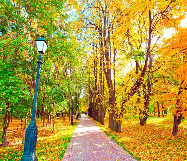 Hermoso parque de otoño colorido en día soleado —  Fotos de Stock