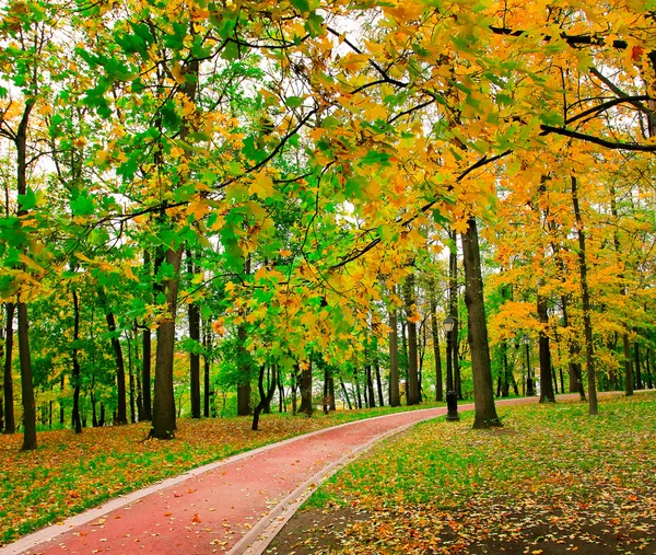 Piękny park jesień — Zdjęcie stockowe