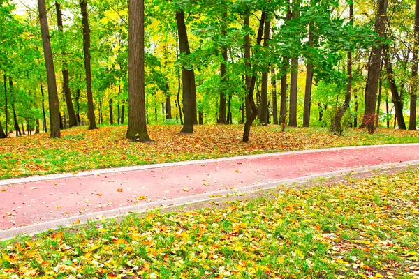 Schöner Herbstpark — Stockfoto