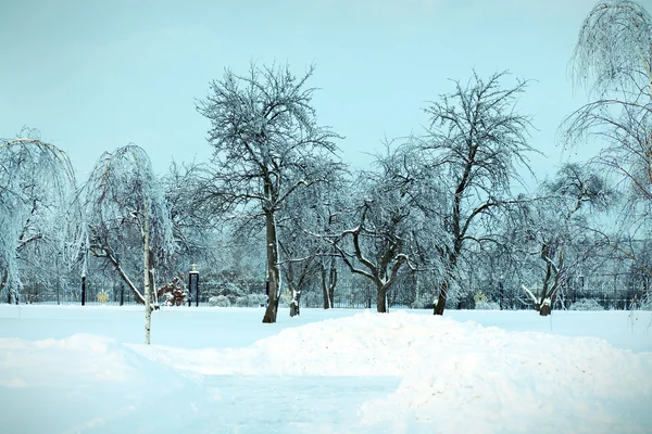 雪の公園 — ストック写真