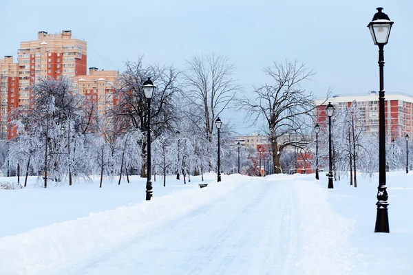 Snowy park — Stock Photo, Image